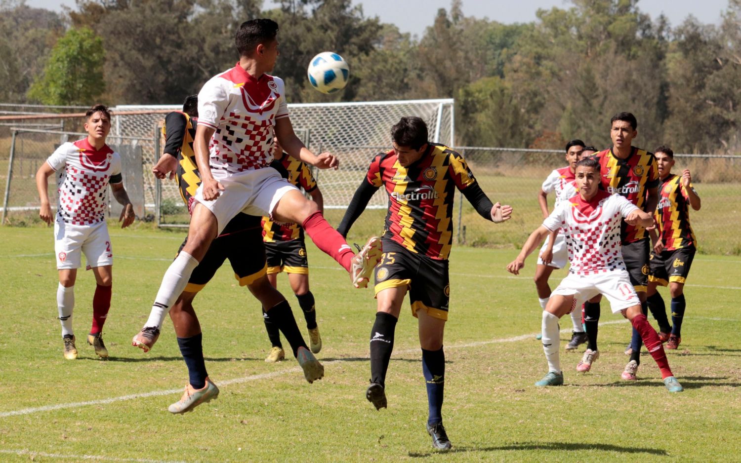 Tecos, líder invicto; ganó a Leones Negros | UAG Media Hub