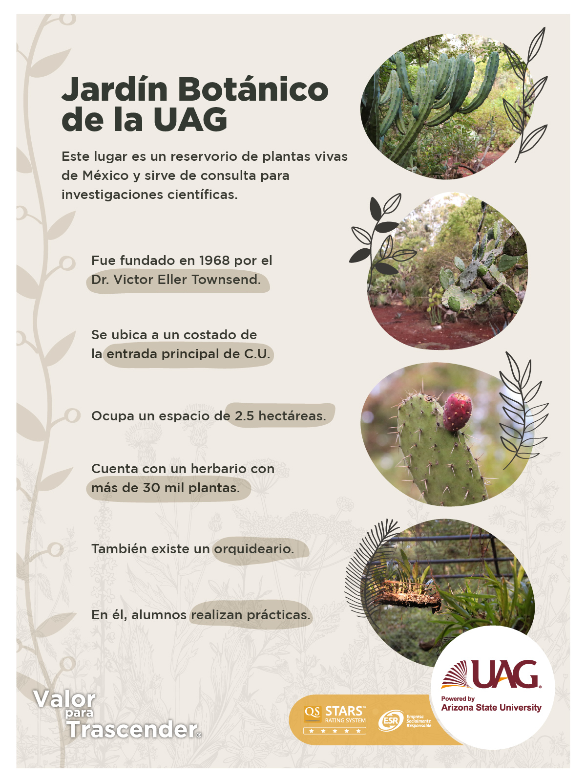 UAG