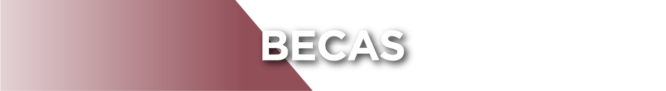 Becas Universidad Autónoma de Guadalajara | UAG